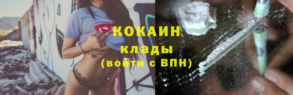 мдпв Новозыбков