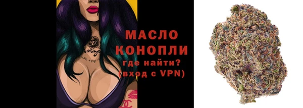 мдпв Новозыбков