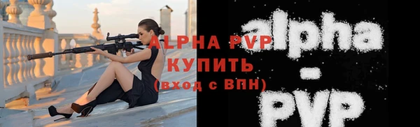 мдпв Новозыбков