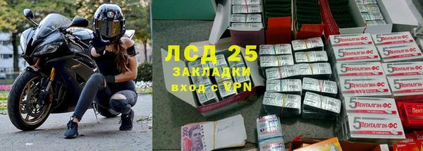 мдпв Новозыбков