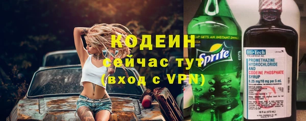 мдпв Новозыбков