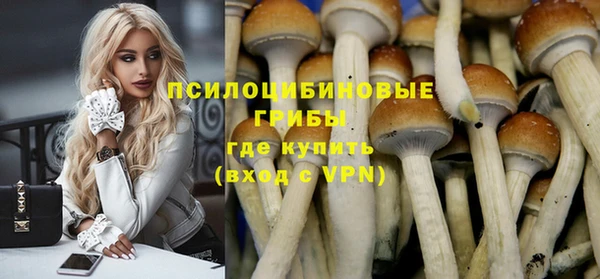 скорость Новодвинск