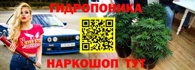 прущие крисы Гагарин