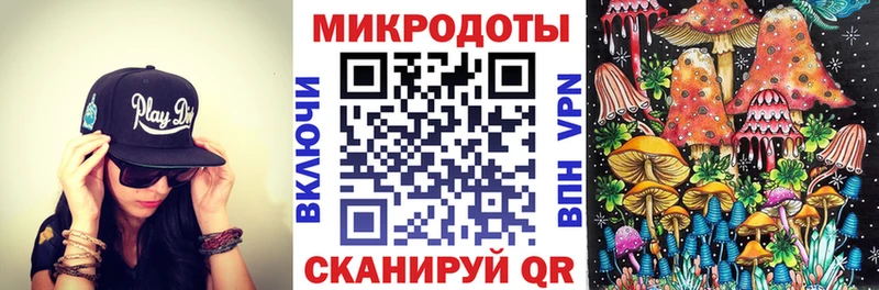 Галлюциногенные грибы Psilocybine cubensis  Электрогорск 