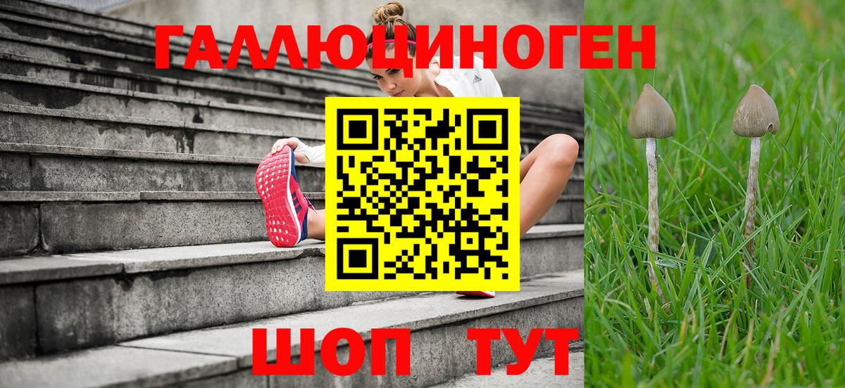 Галлюциногенные грибы прущие грибы Электрогорск